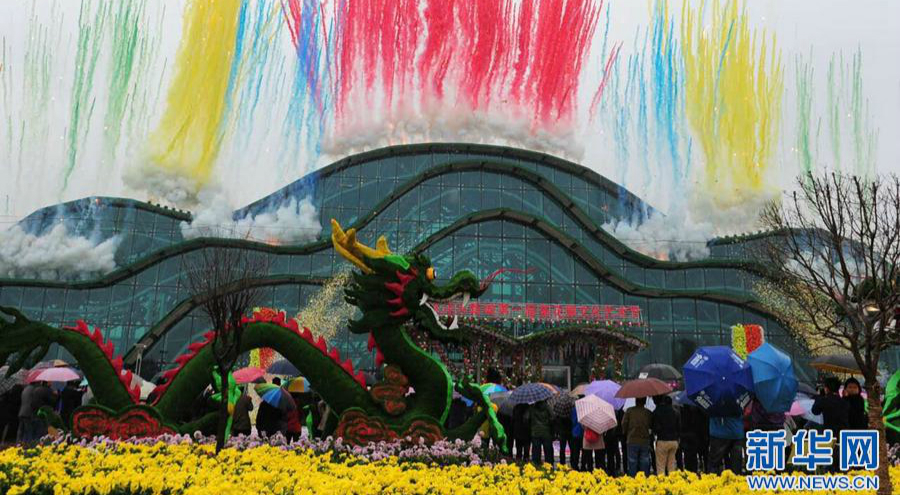 Chrysanthemum exhibition adds dash of color to autumn