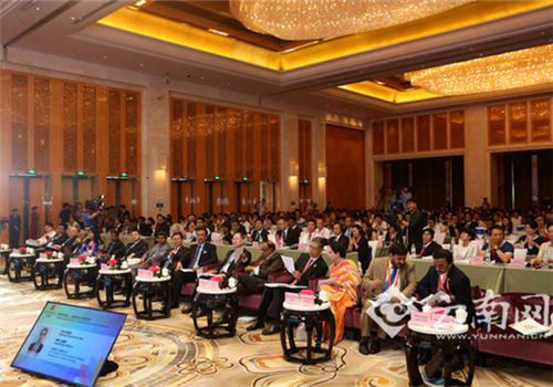 China-Southeast Asia Business Forum underway in Kunming