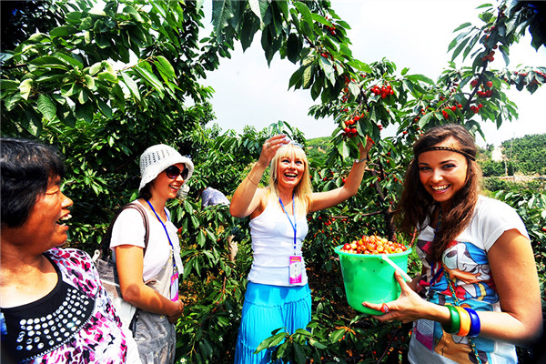 Visitors enjoy their visit to a cherry garden in Yantai