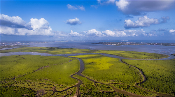 Dongzhai Harbor Mangrove Natural Reserve