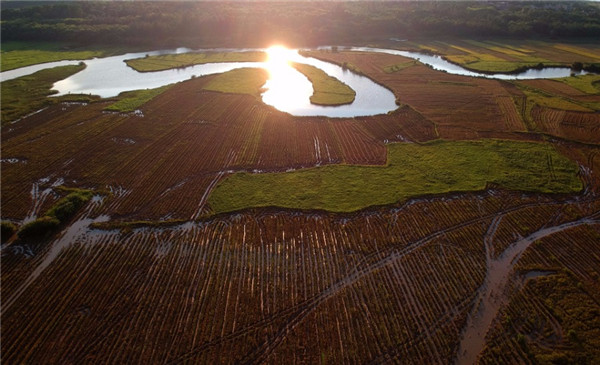 Quxi wetland in Haikou city, Hainan province