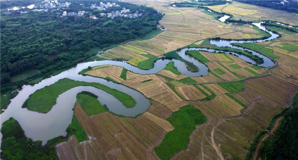 Quxi wetland in Haikou city, Hainan province