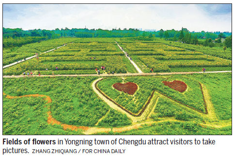 Chengdu freshens up its air quality