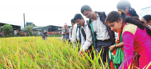 Hainan sows seeds of cooperation