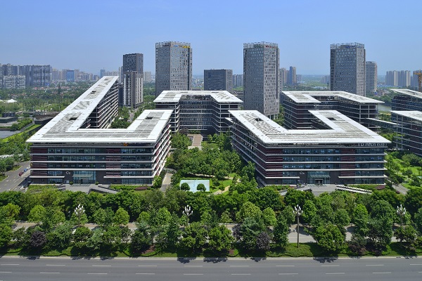 Companies in SW China go global through the BRI