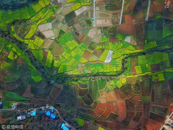 Colorful fields in Hunan