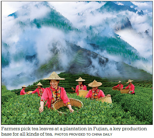 Fujian focuses on high-quality development