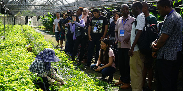 Participants from developing countries visit greenhouse in Hainan