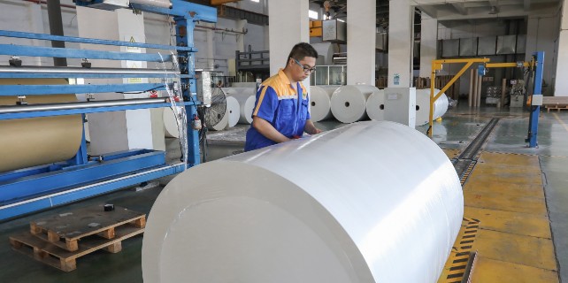 Baosteel Zhanjiang Iron and Steel