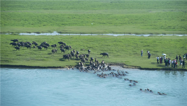 Natural wonder, ancient town draw tourists to Peng'an county