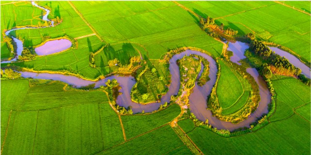 Zhanjiang develops characteristic agriculture