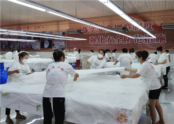 Silk and garment industry in Jialing achieves high-quality development