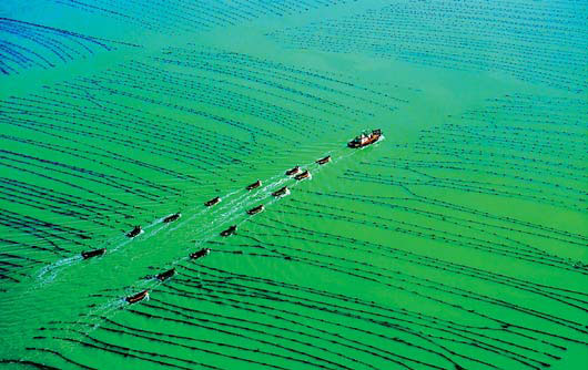 Shandong to showcase agricultural strengths