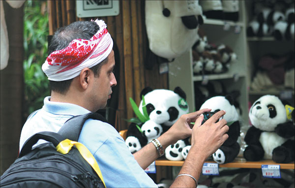 Chengdu's love affair endures for giant pandas