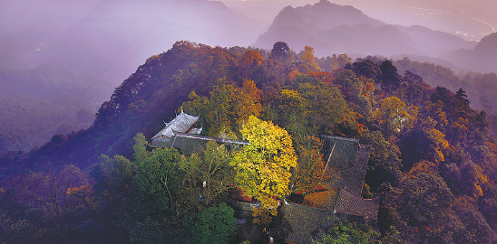 Sichuan's environmental treasure go up on the big screen worldwide