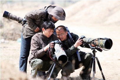 Mount Tai completes bird observation project