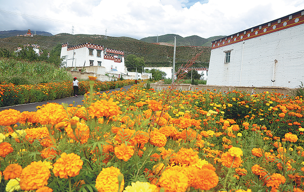 Area creates new paths to rural development