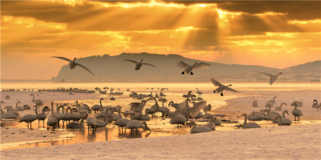 Weihai is home to a great number of mountains, bays and wild animals.