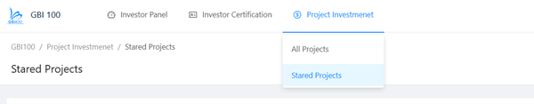Investment Process of the 2019 GBI100 Competition