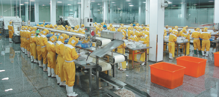 Business environment developing smoothly