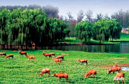 Ecological environment