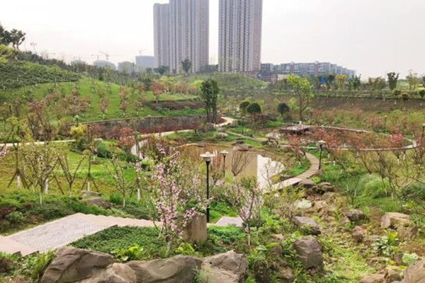 Baiyun Mountain Park opens to the public