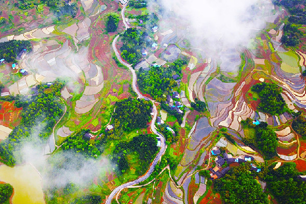 Images of Chongqing win national competition