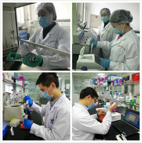 Chongqing tech companies serve in global fight against virus