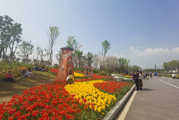 Head out to Liangjiang for memorable spring walks
