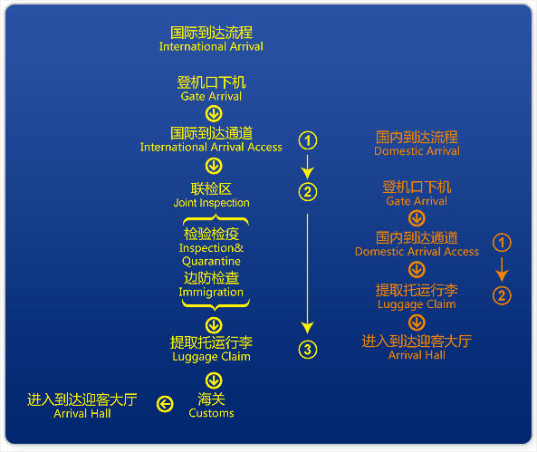 Pudong Airport Arrival