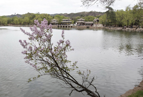 Journey to the Silk Road – Hebei