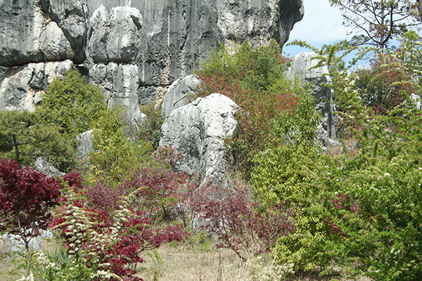 Journey to the Silk Road - Yunnan