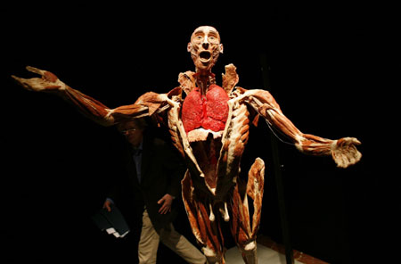 Slide: 'The Human Body' exhibition