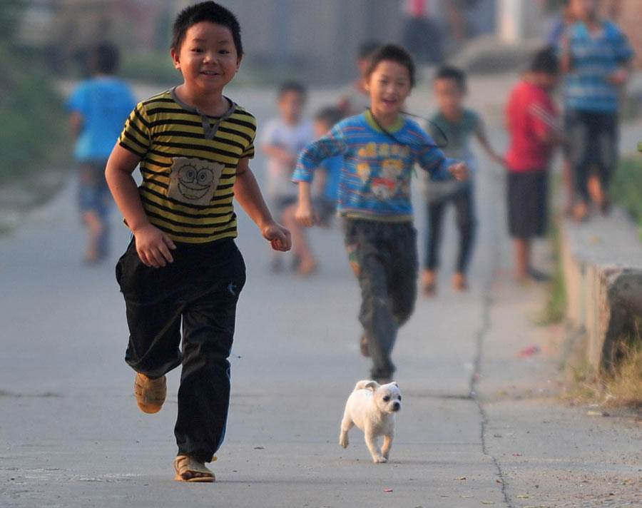 Children of shantytown play with pets