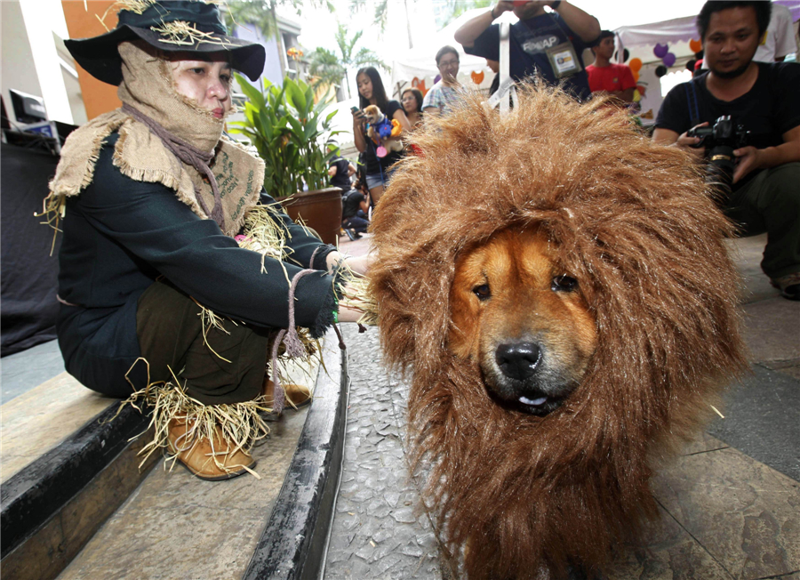 Pets halloween costume competition in Philippines