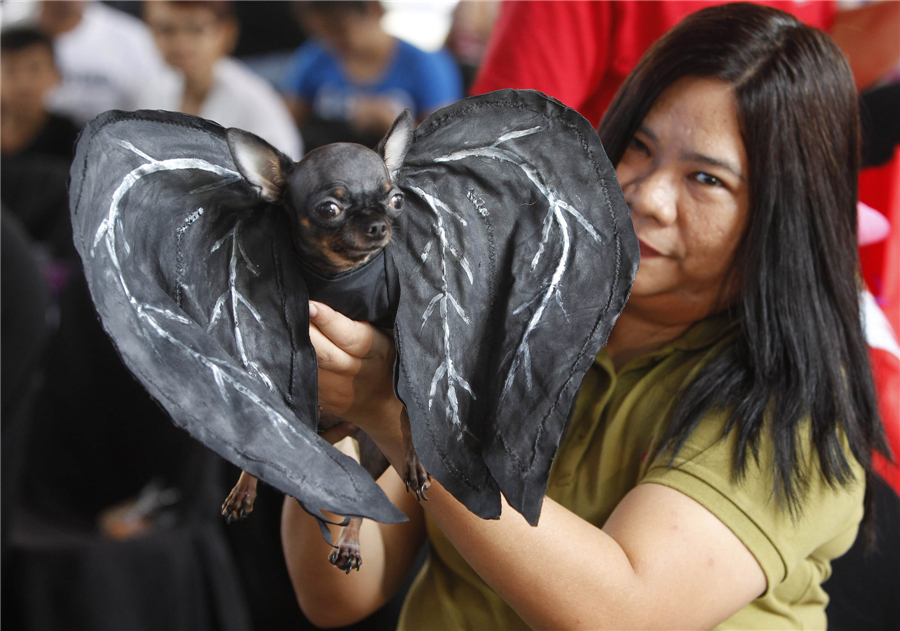 Pets halloween costume competition in Philippines