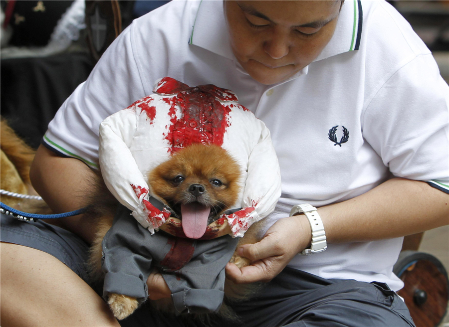 Pets halloween costume competition in Philippines