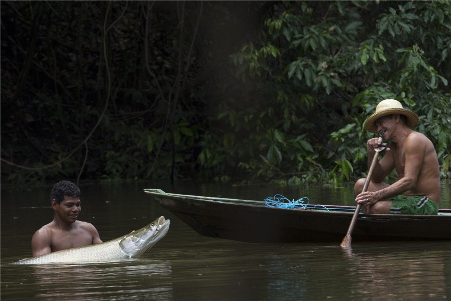 Fishing for living fossils