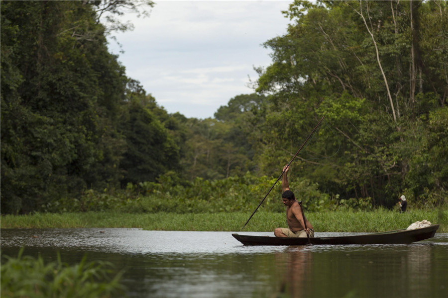 Fishing for living fossils