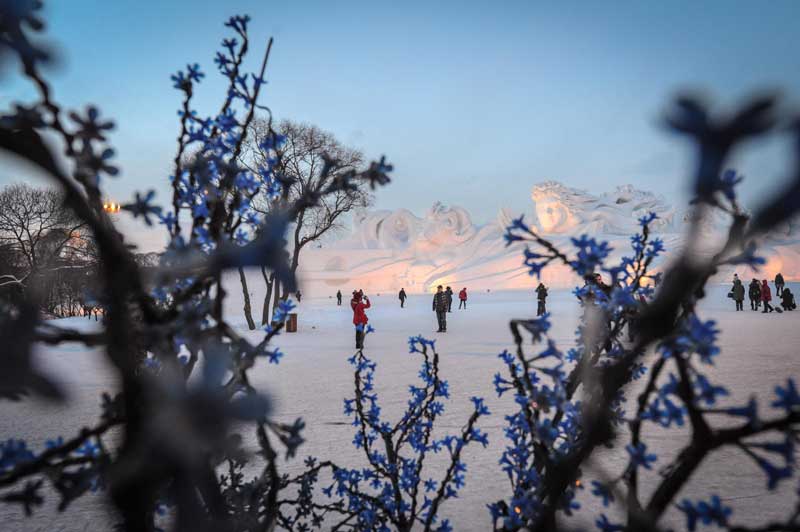 Snow sculptures showcased in NE China art show