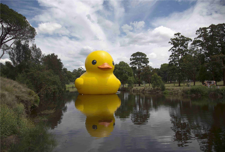 Giant rubber duck sparks Sydney Festival