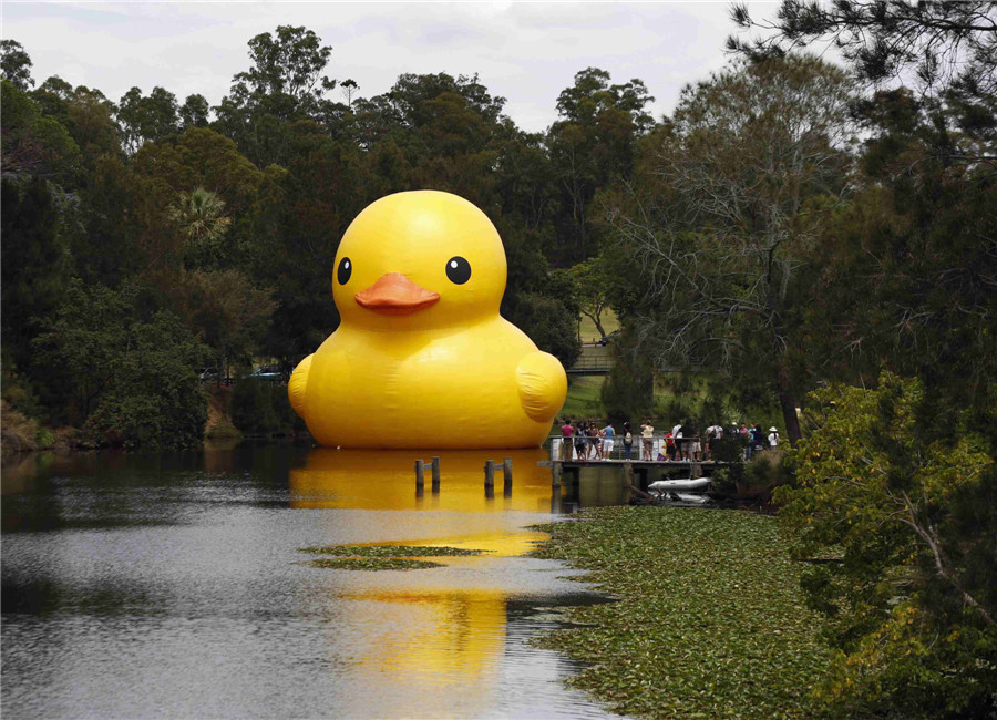 Giant rubber duck sparks Sydney Festival