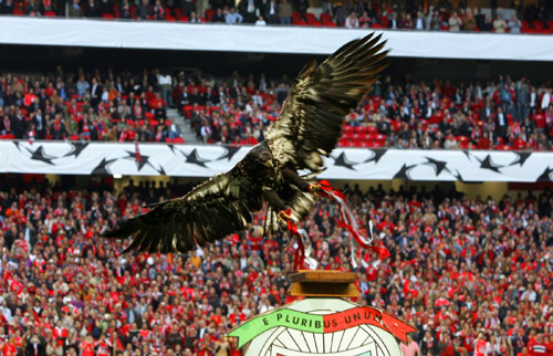 Benfica's eagle mascot named Victory appears before the first leg of their Champions League quarter-final soccer match against FC Barcelona at Luz stadium in Lisbon March 28, 2006. The match ended in a 0-0 draw. [Reuters]