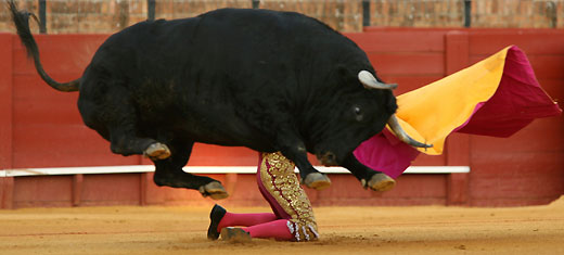 Spanish bullfighter Anibal Ruiz performs a pass to a bull during a bullfight at the Maestranza bullring in Seville August 15, 2006. 