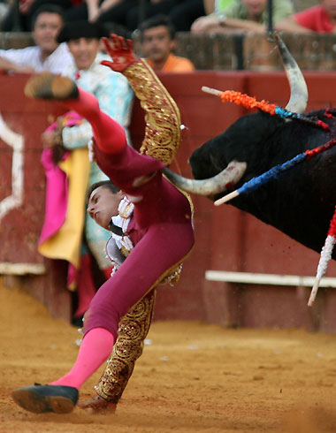 Spanish bullfighter Anibal Ruiz is tackled by a bull during a bullfight at the Maestranza bullring in Seville August 15, 2006. 