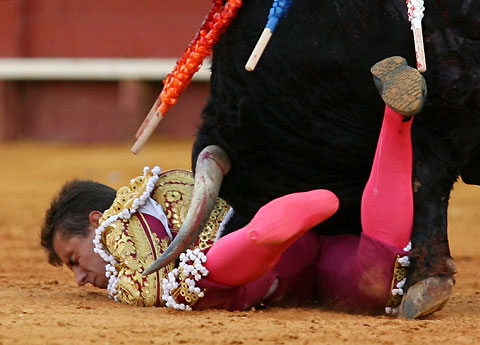 Spanish bullfighter Anibal Ruiz is tackled by a bull during a bullfight at the Maestranza bullring in Seville August 15, 2006. 