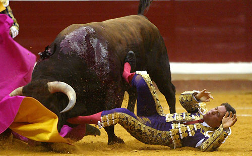 Bullfighter Antonio Barrera is tossed by a bull during a bullfight at San Sebastian's Illumbe bullring August 15, 2006. 