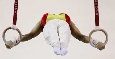 China's Yang Wei competes on the rings during the men's individual all-around final at the 39th Artistic Gymnastics World Championships in Aarhus, Denmark, October 19, 2006. China's Yang Wei won the gold medal on Thursday followed by Japan's silver medallist Hiroyuki Tomita and Germany's bronze medal winner Fabian Hambuechen.