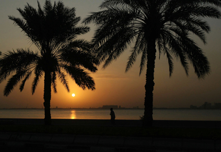 Doha landscape