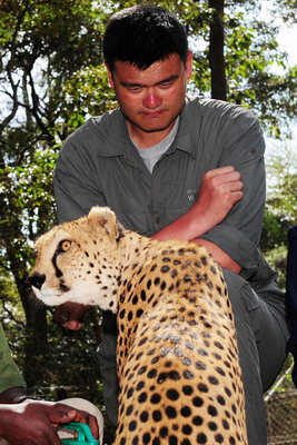 Yao Ming in anti-poaching campaign in Africa